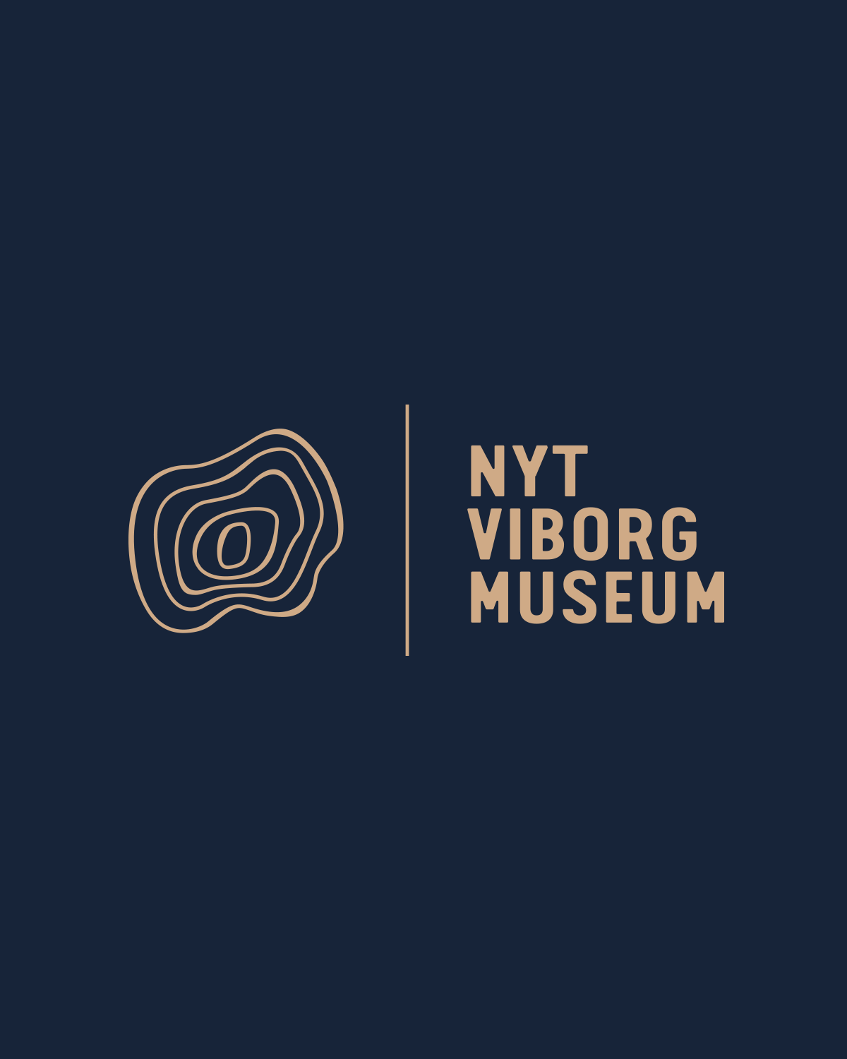 Nyt Viborg Museum