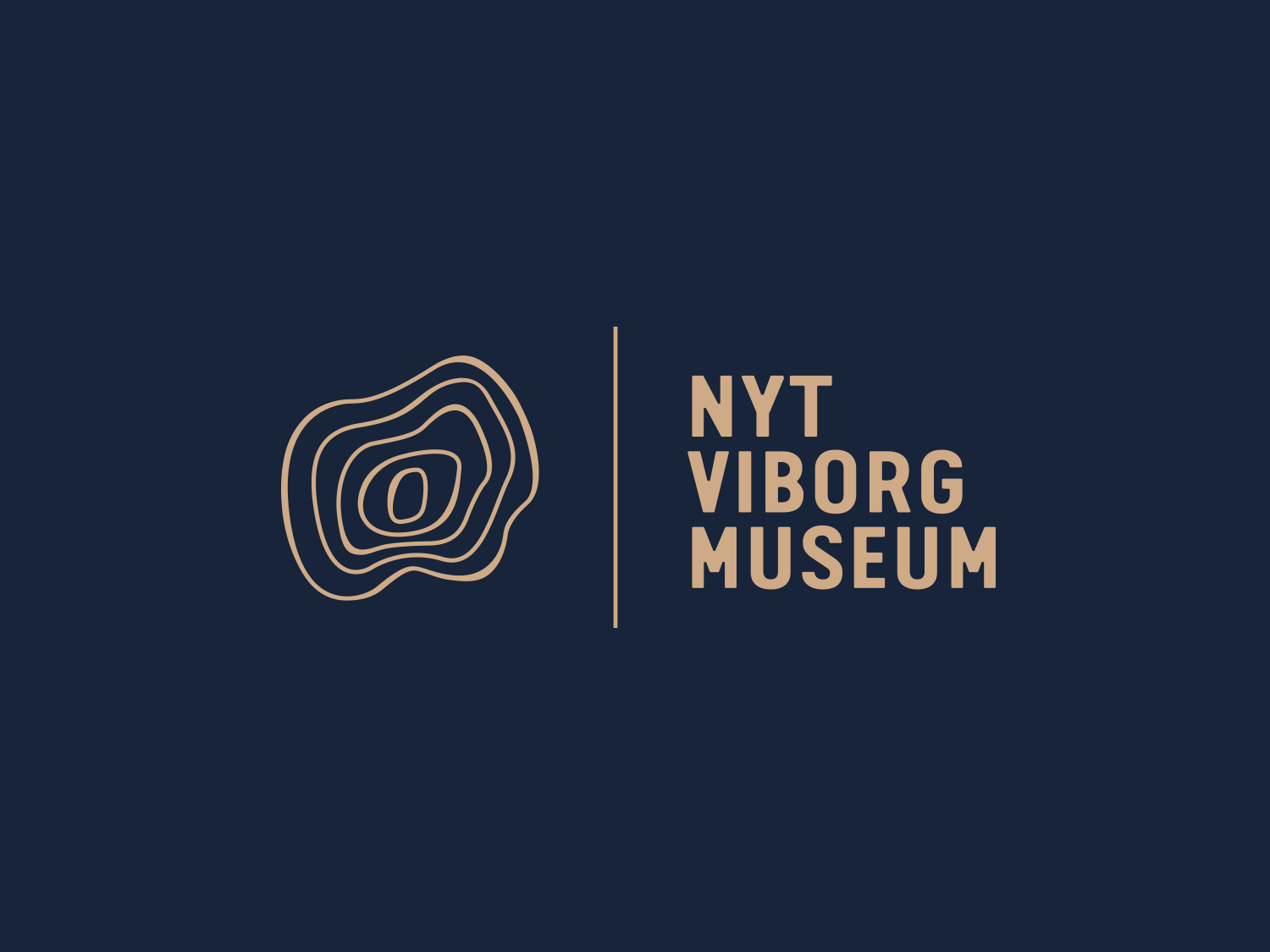 Nyt Viborg Museum