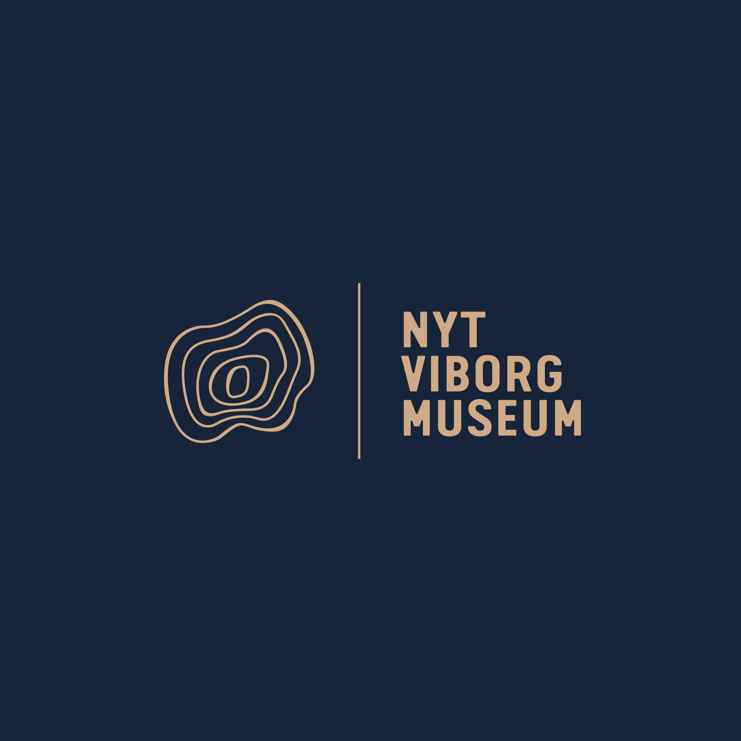 Nyt Viborg Museum